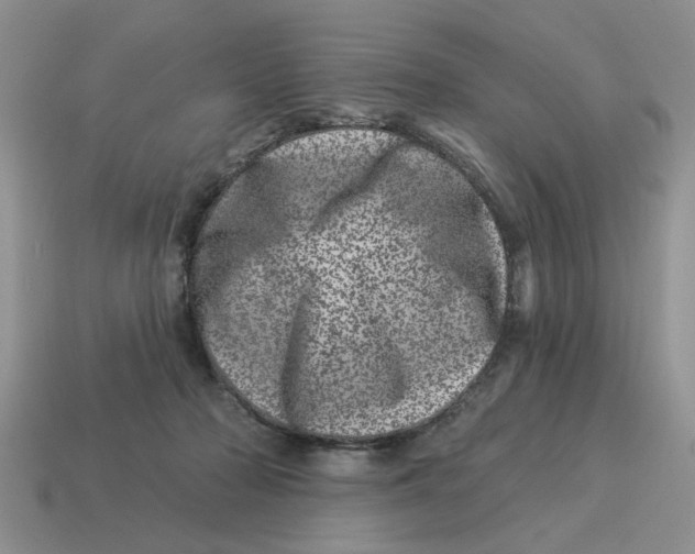 X0000114490318200911091054