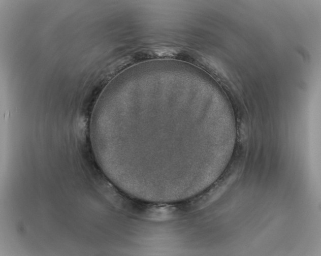 X0000114490321200911091054
