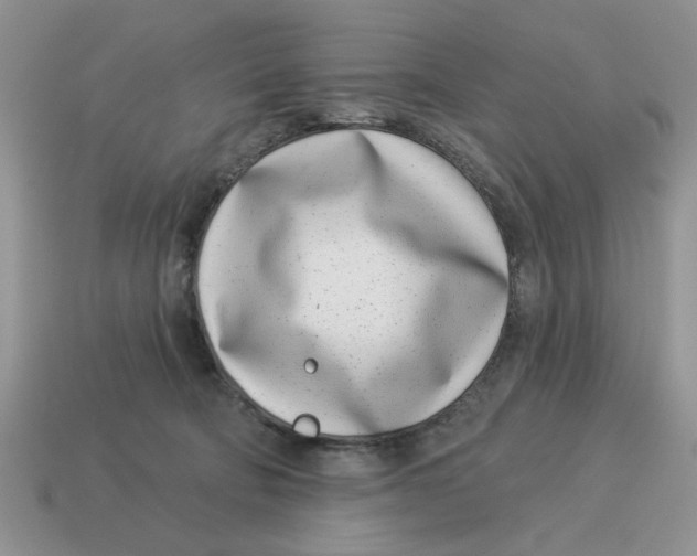 X0000114490322200911091054