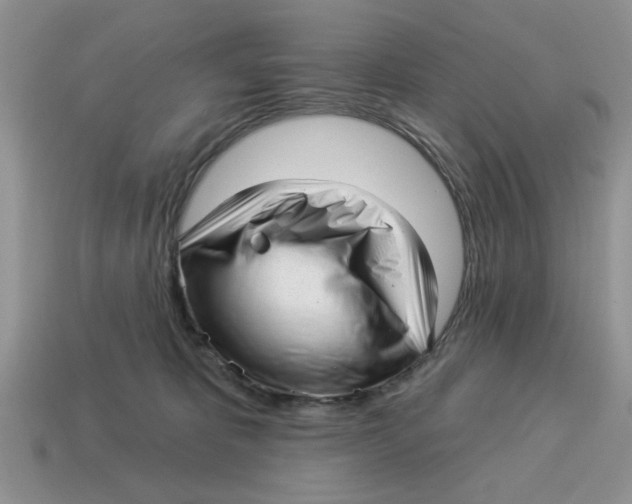 X0000114490325200911091054