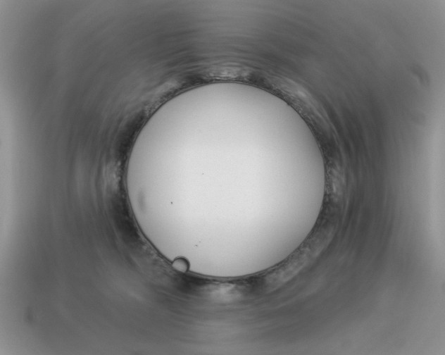 X0000114490326200911091054