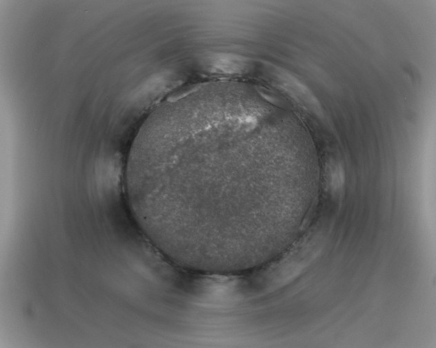 X0000114490328200911091054