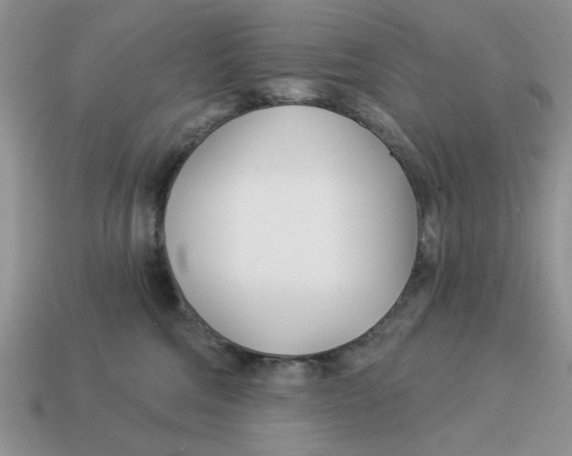 X0000114490330200911091054