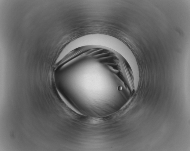 X0000114490333200911091054