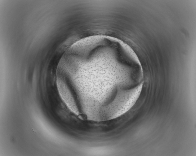 X0000114490334200911091054