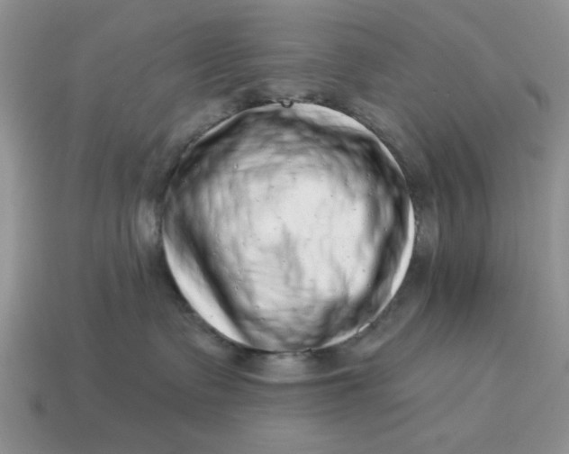 X0000114490335200911091054