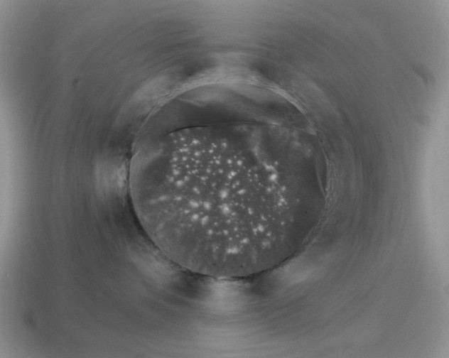 X0000114490336200911091054