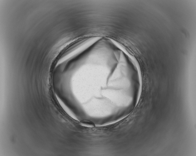X0000114490338200911091053