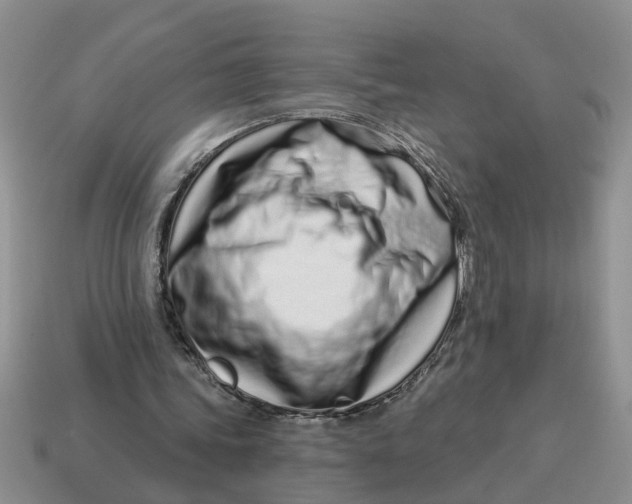 X0000114490339200911091053