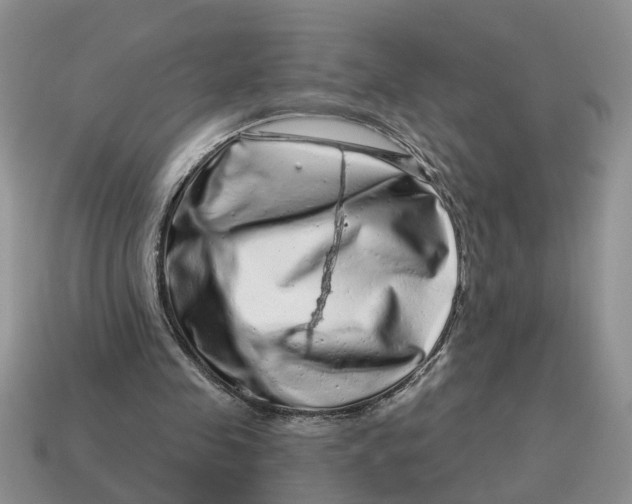 X0000114490341200911091053