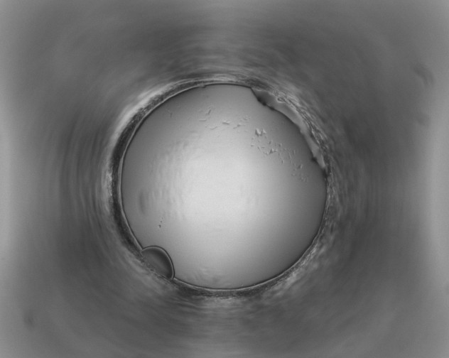 X0000114490342200911091053