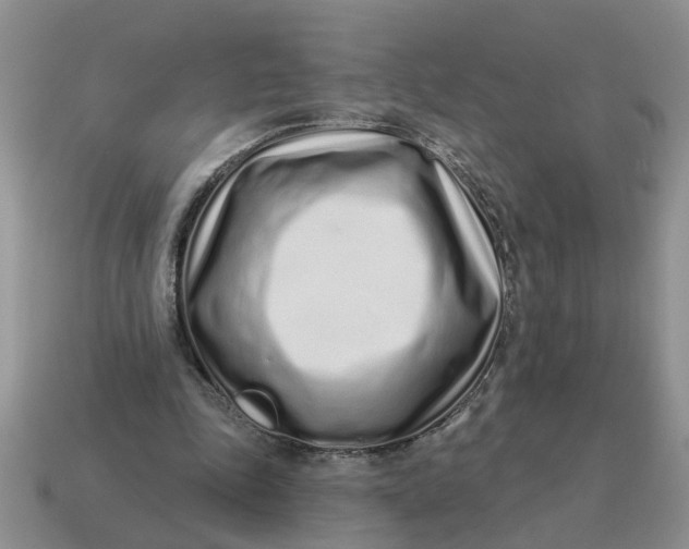X0000114490343200911091053