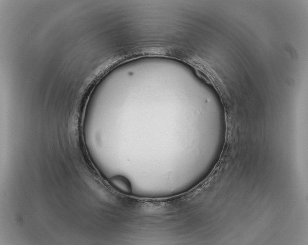 X0000114490346200911091053