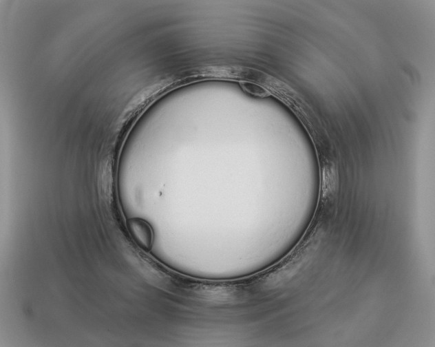 X0000114490349200911091053