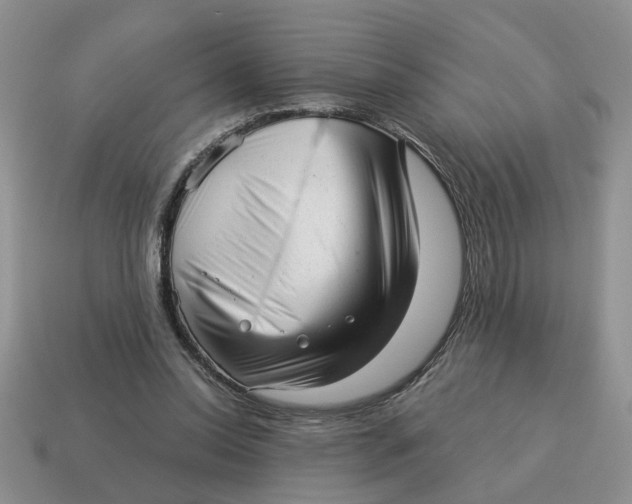 X0000114490350200911091053
