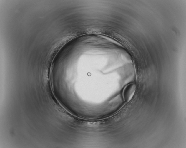 X0000114490353200911091053