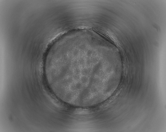 X0000114490354200911091053