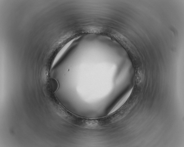 X0000114490355200911091053