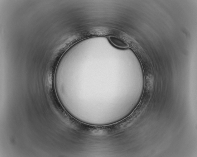 X0000114490358200911091053
