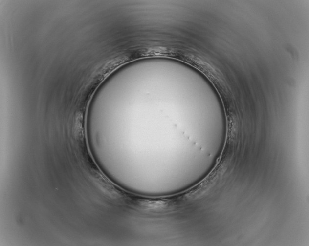 X0000114490361200911091053
