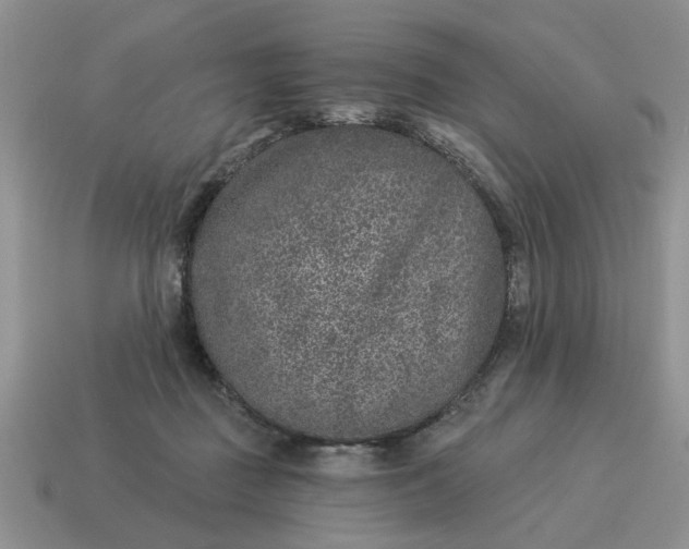X0000114490363200911091053