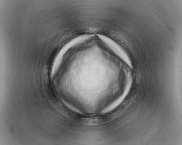 X0000114490366200911091053