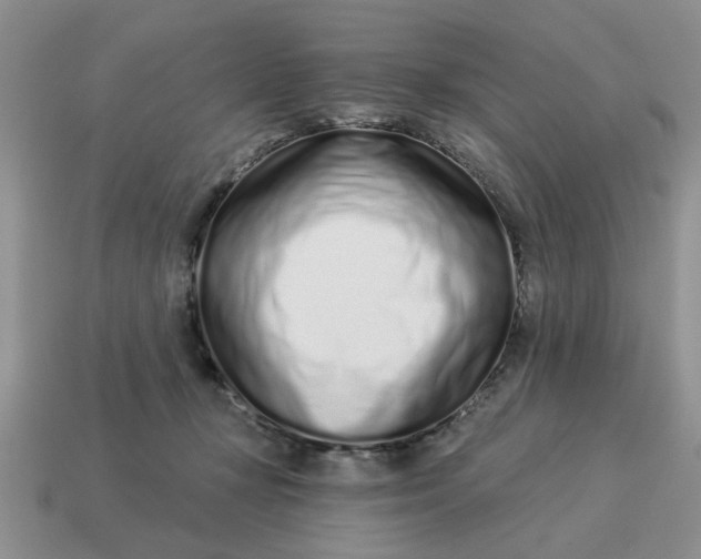X0000114490367200911091053