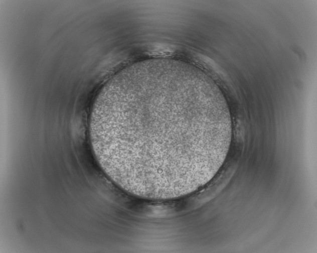 X0000114490370200911091053