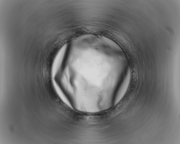 X0000114490371200911091053