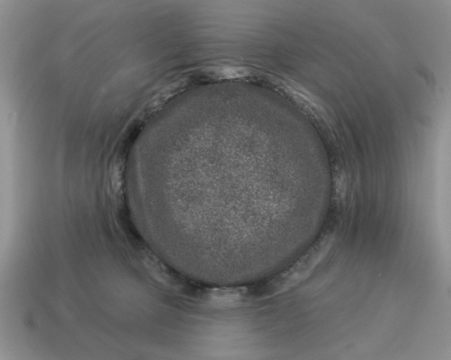 X0000114490373200911091054
