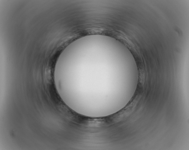 X0000114490378200911091054