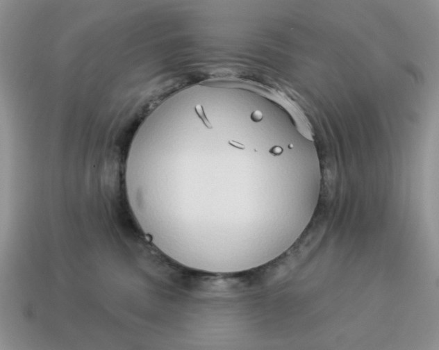 X0000114490379200911091054