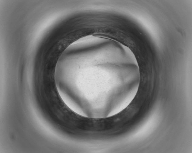 X0000114490383200911091054