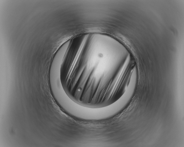 X0000114490385200911091053