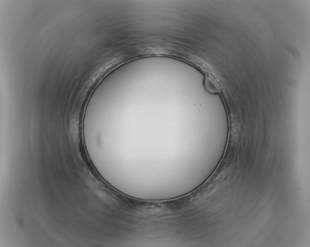 X0000114490386200911091053