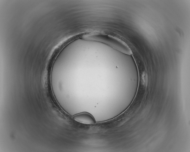 X0000114490388200911091053