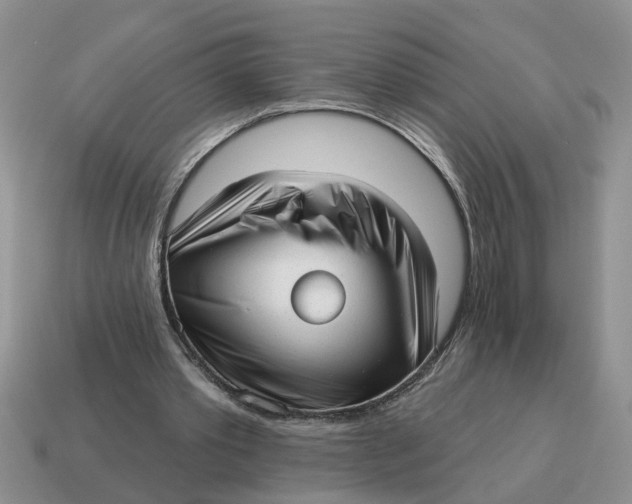 X0000114490389200911091053