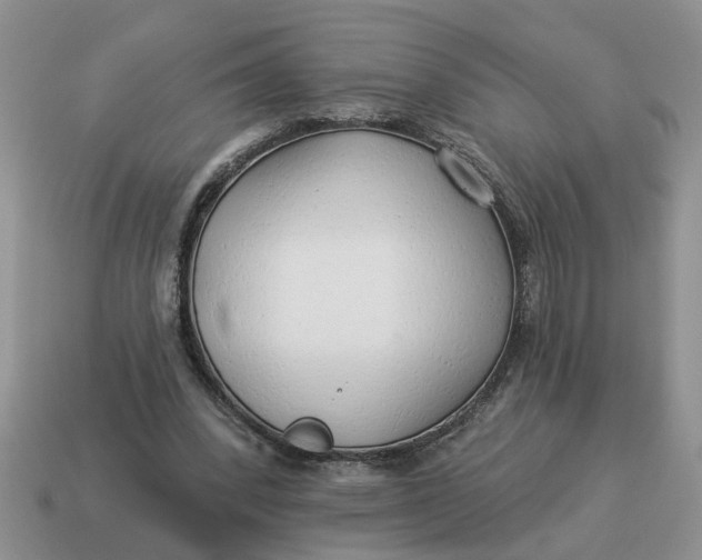 X0000114490392200911091053