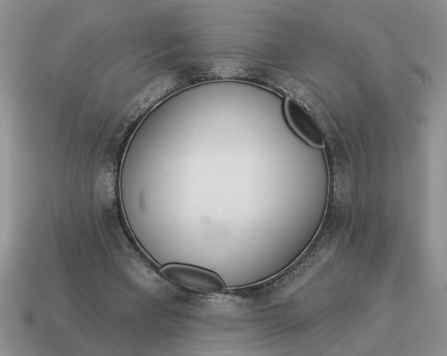 X0000114490393200911091053
