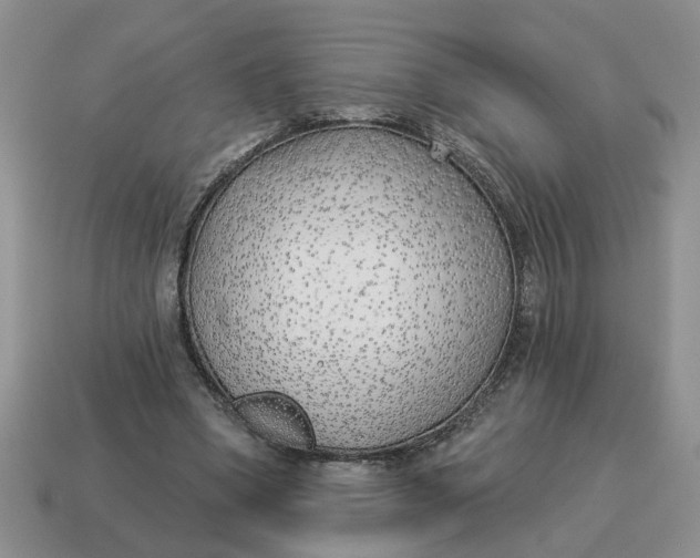 X0000114490394200911091053