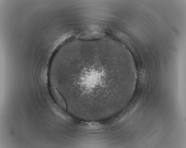 X0000114490395200911091053