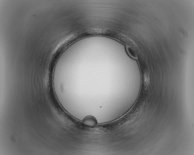 X0000114490396200911091053