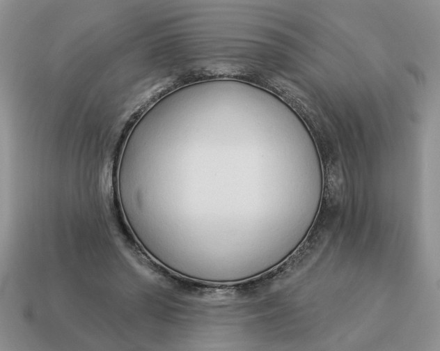 X0000114490398200911091053