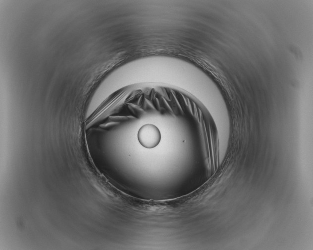 X0000114490401200911091053