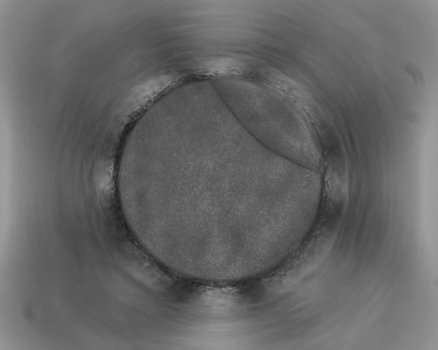 X0000114490403200911091053