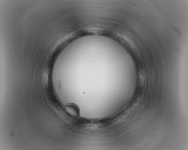 X0000114490404200911091053