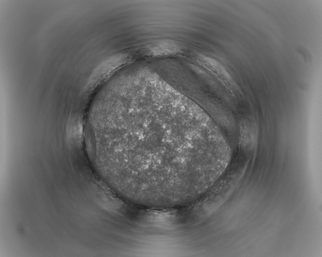 X0000114490405200911091053