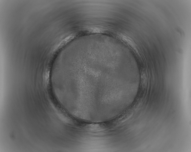 X0000114490406200911091053