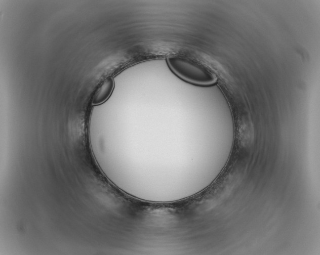 X0000114490407200911091053
