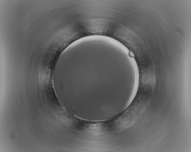 X0000114490411200911091053